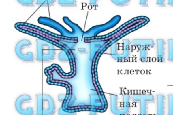 Какая ссылка на кракен