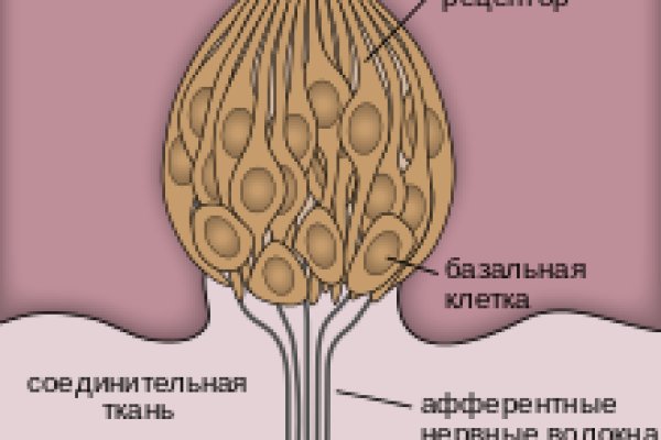 Как пополнить баланс кракен